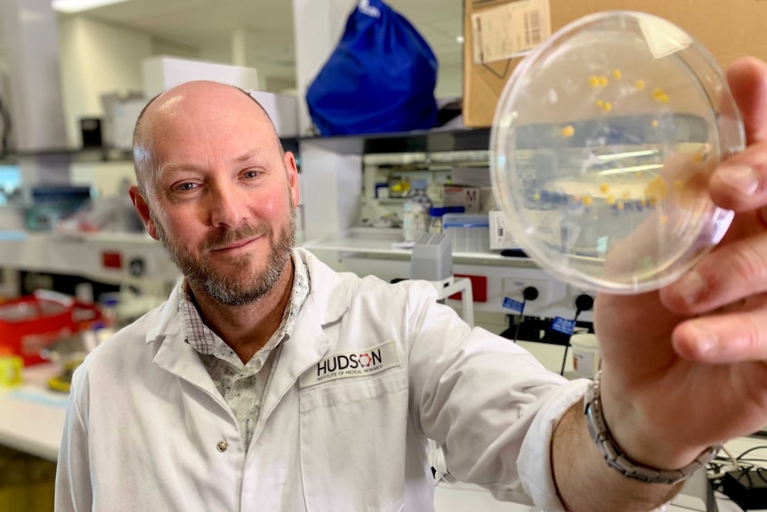 A man in a white lab coat holds a Petri dish with yellow samples inside.