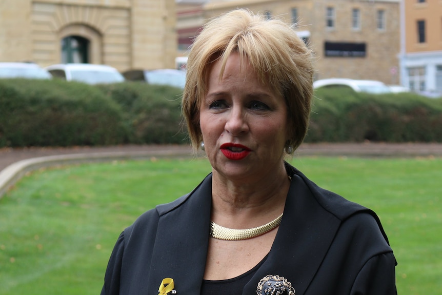 Tasmanian Speaker Sue Hickey speaks to media outside State Parliament in Hobart.
