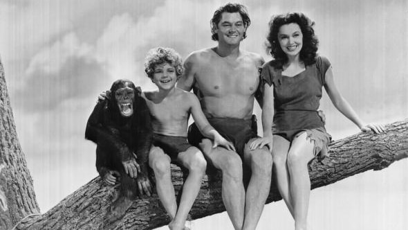 Cheetah the chimpanzee is pictured in a Tarzan movie