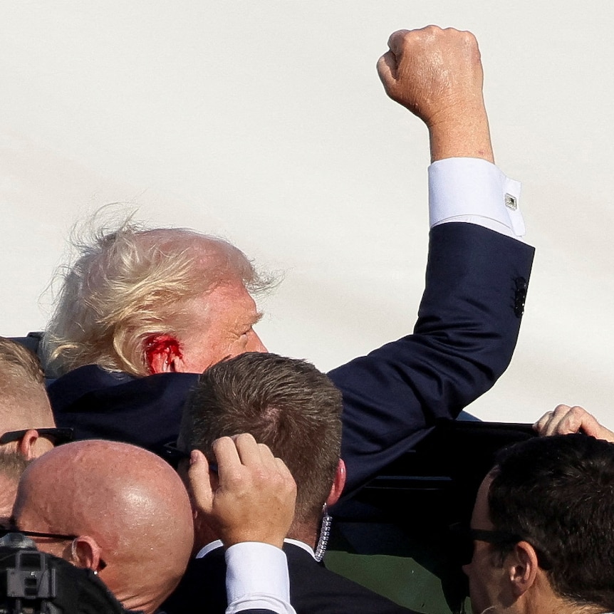 Trump raises a fist in the air as he's escorted into a vehicle by secret service agents. His ear is covered in blood