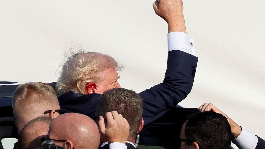 Trump raises a fist in the air as he's escorted into a vehicle by secret service agents. His ear is covered in blood