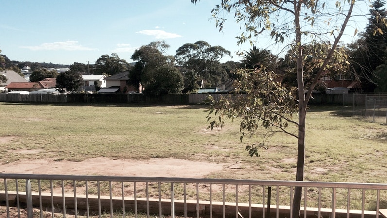 Oval at Manly West Public School before it was replaced