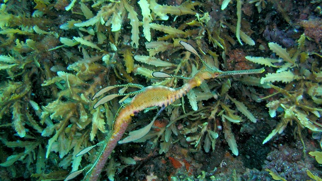 Play Video. Duration: 38 seconds