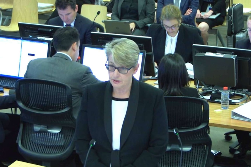 Counsel assisting the royal commission Gail Furness making addressing the hearing.