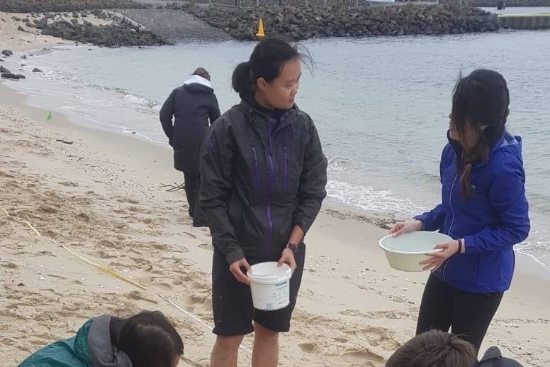 Les gens tamisent le sable sur une plage.