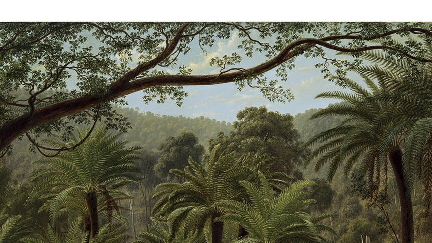 Ferntree Gully in the Dandenong Ranges 1857, oil on canvas.