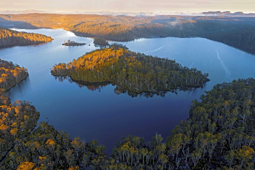 An aeriel shot of Lake Malbena, half in sunlight, half in shade. A beautiful still lake surrouded by green forests.