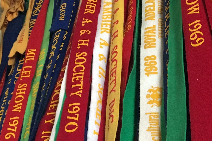 Ribbons won by Mavis Lockwood