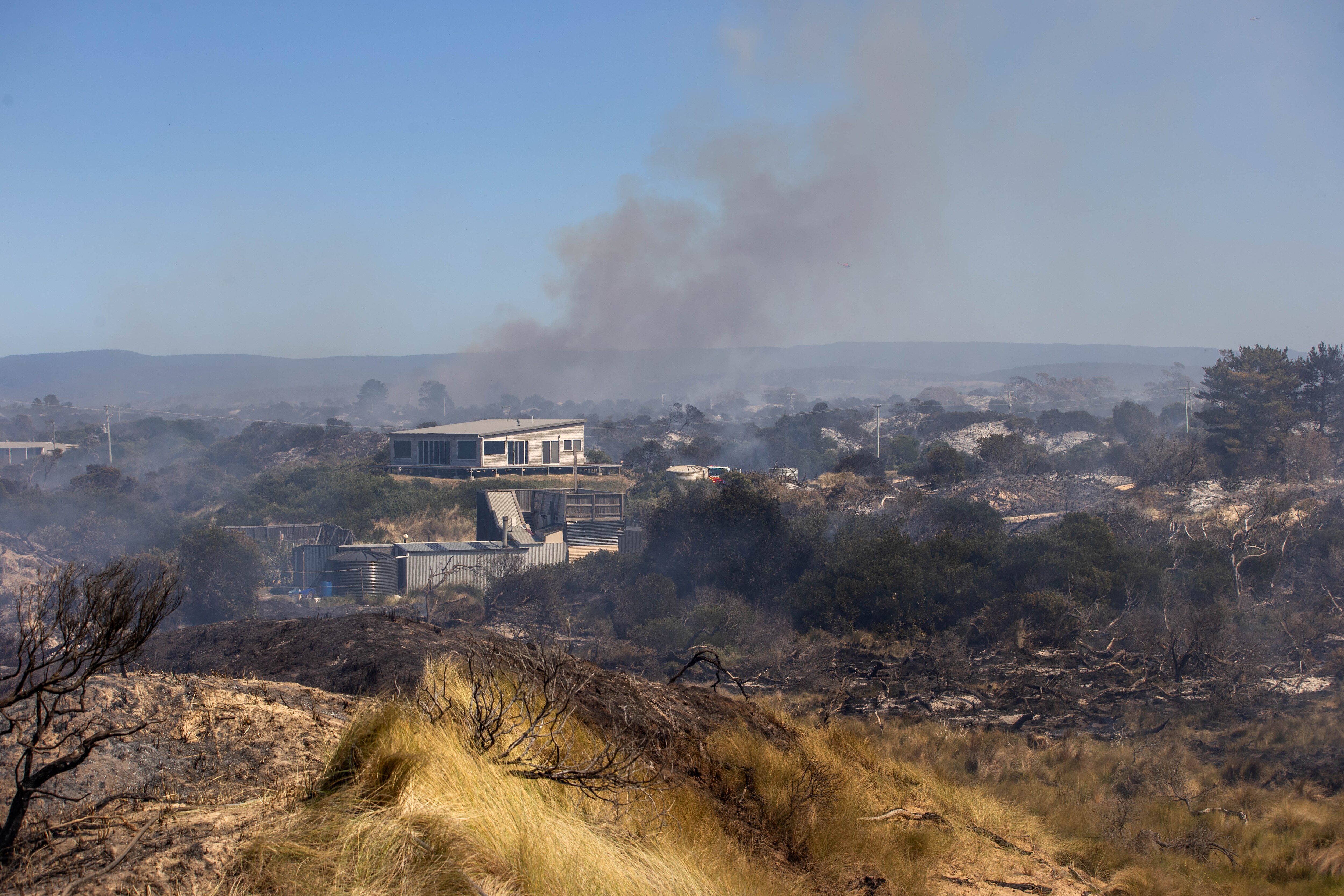 Houses right up against blackened ground near a bushfire zone.