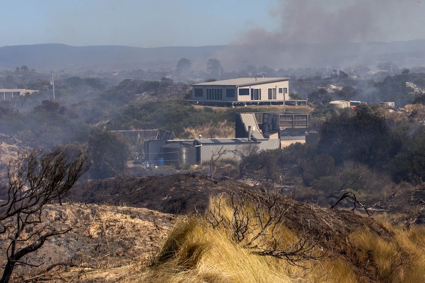 Houses right up against blackened ground near a bushfire zone.