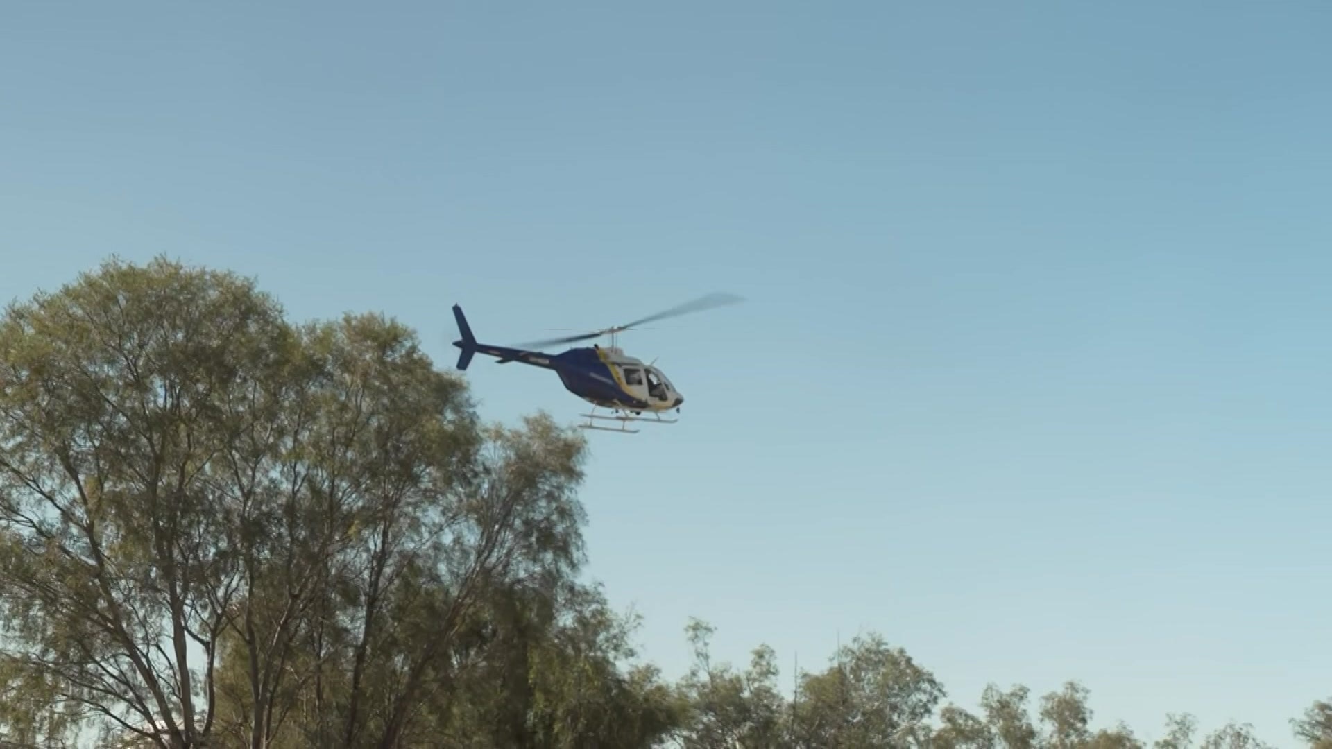 A helicopter flying over some tall trees in a bush environment.