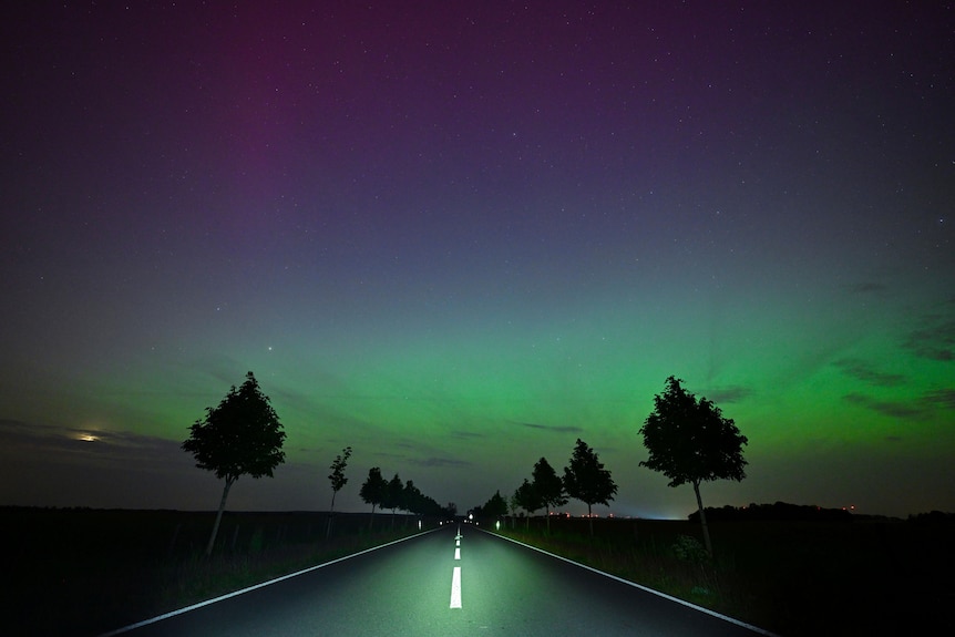 purple, green, yellow and pink hues of the Northern Lights  over a road lined by trees