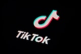 The icon for the video sharing TikTok app is seen on a smartphone.