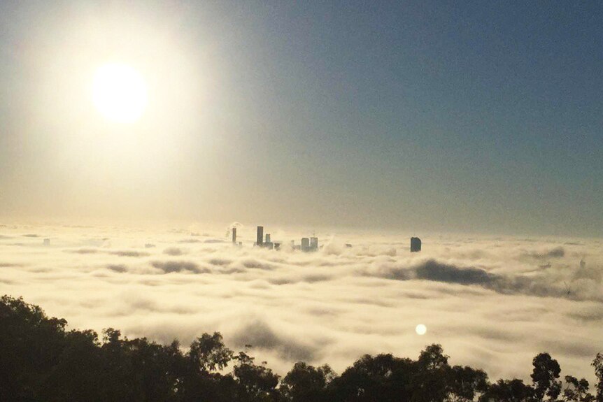 Fog seen from Mount Coot-tha in Brisbane with city buildings poking through