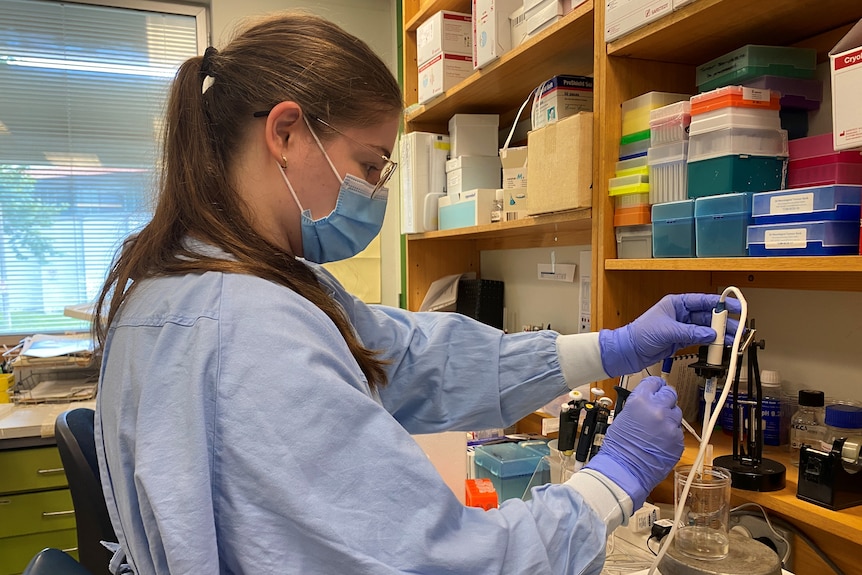 A researcher in a laboratory at Flinders University.