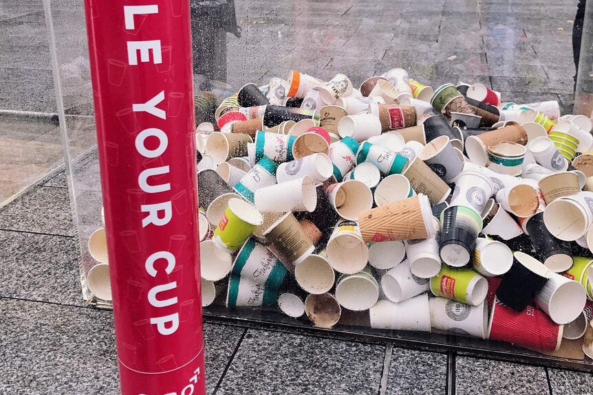 Cibo coffee cups to be recycled in Rundle Mall