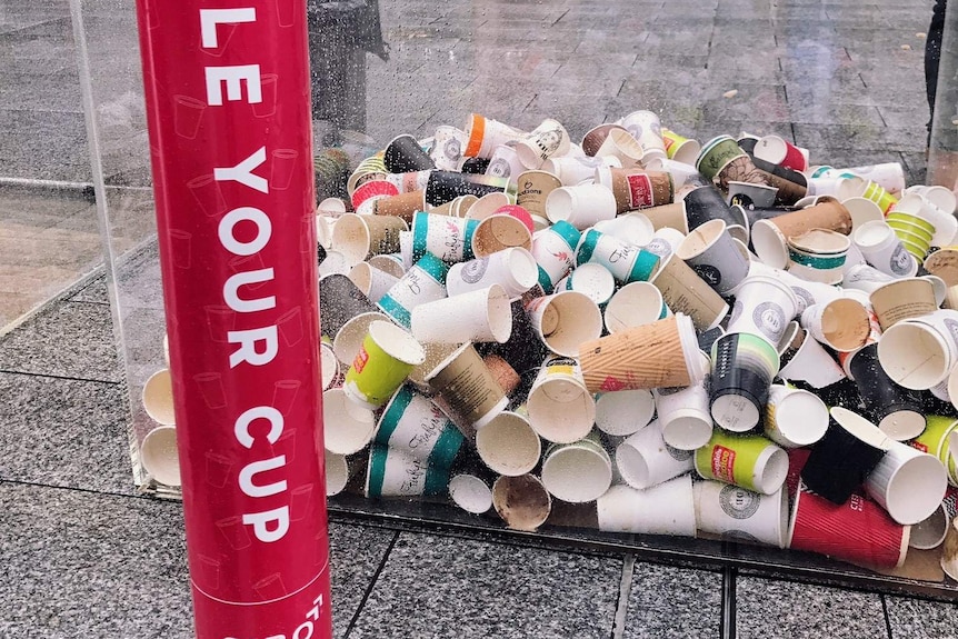 Cibo coffee cups to be recycled in Rundle Mall