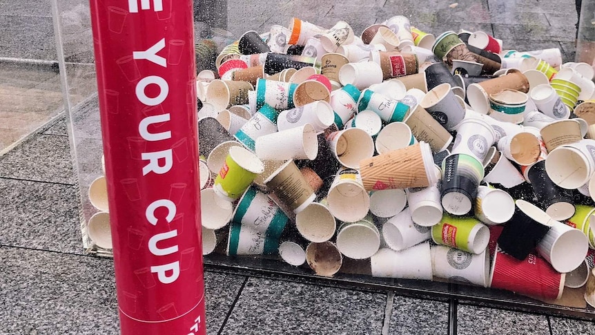 Cibo coffee cups to be recycled in Rundle Mall