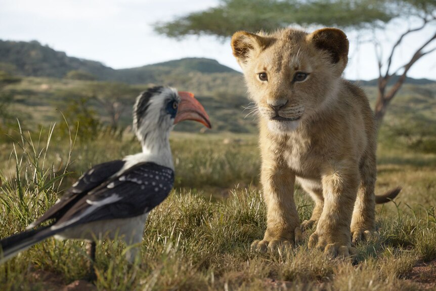 Colour still of animated lion cub Simba walking up to Zazu, a red-billed hornbill in African savanna in 2019 film The Lion King.
