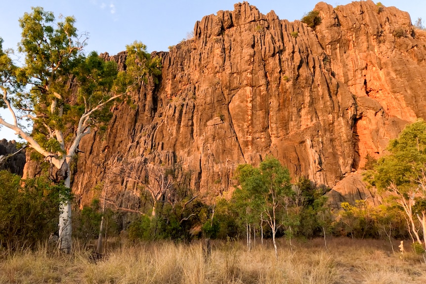 A giant rock face with reflecting shadows of the sun towers over scrub and green trees.