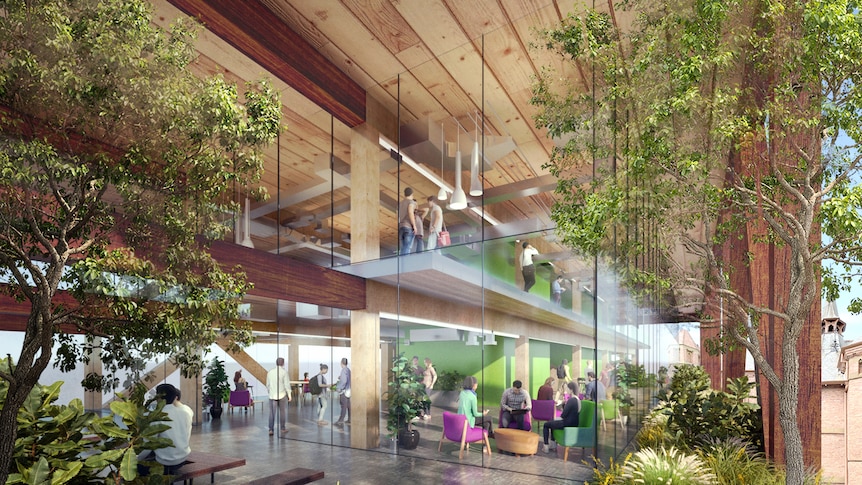 Bulky beams crisscross an airy, glass-clad office space filled with plants.