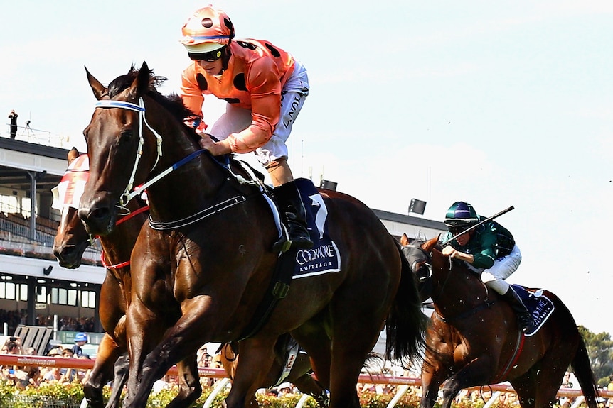 Black Caviar bolts home at Flemington