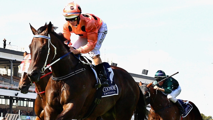 Jockey Luke Nolen on board Black Caviar wins the Lightning Stakes at Flemington in February 2012.