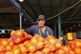 Mick Auddino stands over a bunch of fruit