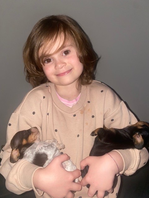 Una niña sonriente de seis años, cabello castaño y una sudadera de lunares marrón, sostiene dos cachorros en cada brazo. 