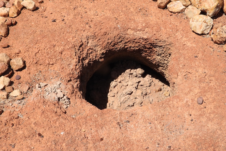 An Indigenous well that has been filled in.