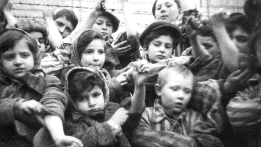Children at the Auschwitz concentration camp show their tattooed arms.
