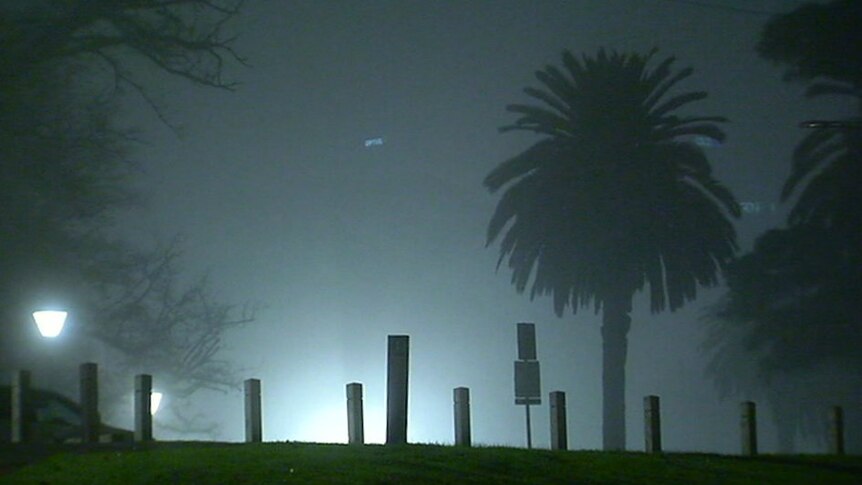 A park in Melbourne's CBD shrouded in morning fog before dawn.