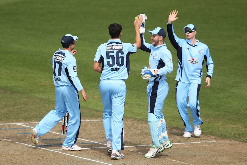Mitchell Starc is congratulated by NSW team-mates during the one-day clash with South Australia