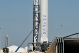 SpaceX's Falcon 9 spacecraft, with the Dragon reusable capsule, sits on the launch pad.