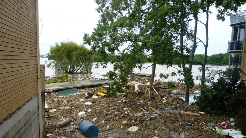 Debris is gathered on Toowong Creek in Toowong, Brisbane, after floods carried rubbish downstream