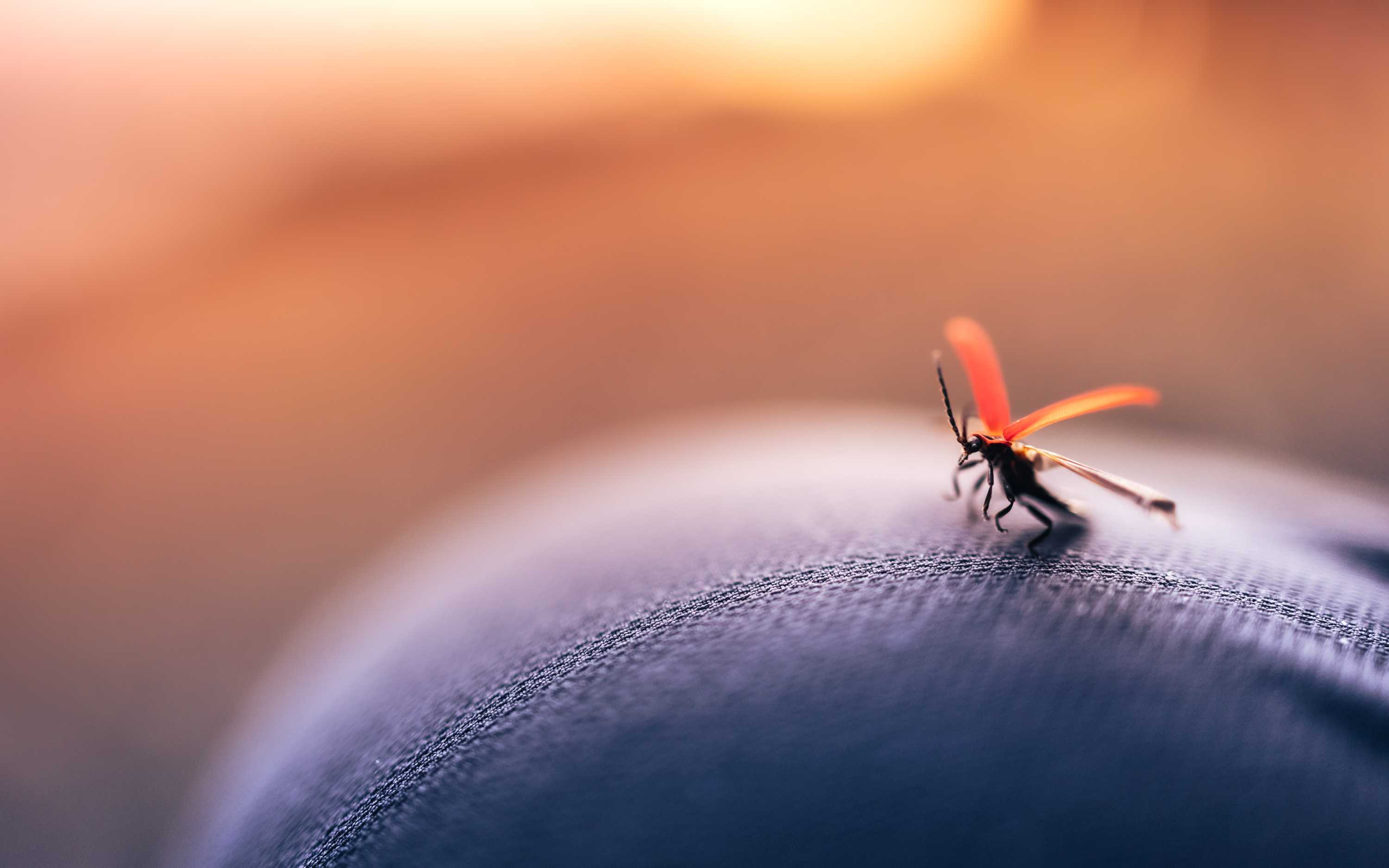 Malaria and vector-borne diseases, the Hippocratic Oath, the best way to treat snake bite