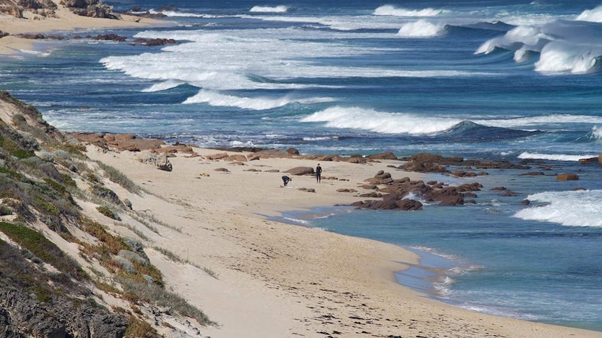 A wide shot of a beach at Gracetown, with surfers preparing to enter the water.