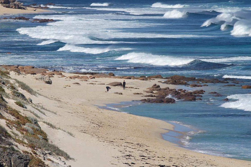 A wide shot of a beach at Gracetown, with surfers preparing to enter the water.