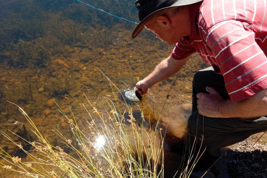 A man beside a river, releases a small turtle into a river