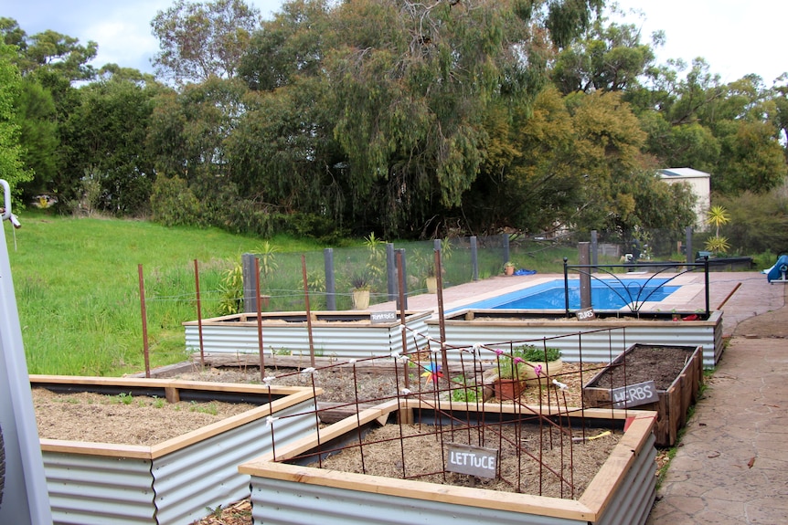 Four raised vegetable patches in front of a swimming pool.