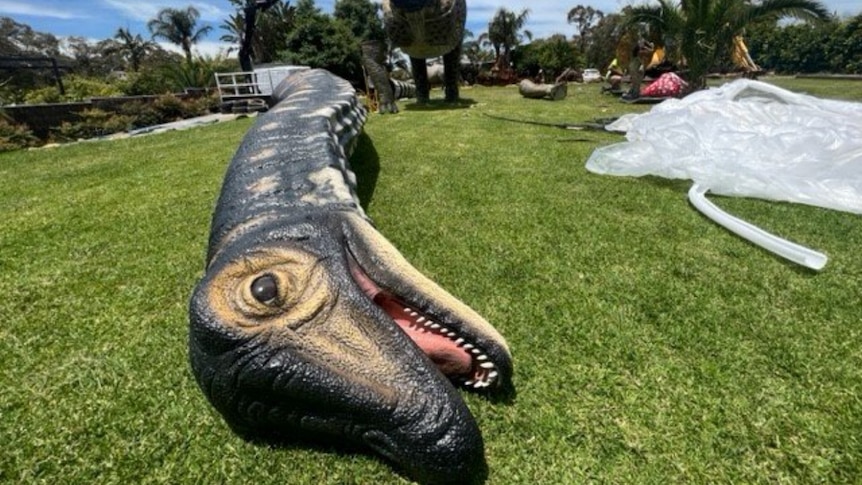 A disembodied dinosaur head lies in green grass while its neck protrudes behind 