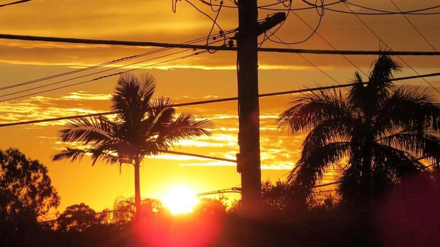 Sun shimmers through powerlines and trees at The Gap in Brisbane.