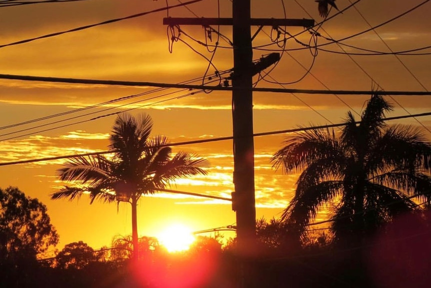 Powerlines silhouetted by the sun.