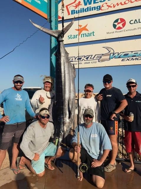 Marlin weigh-in