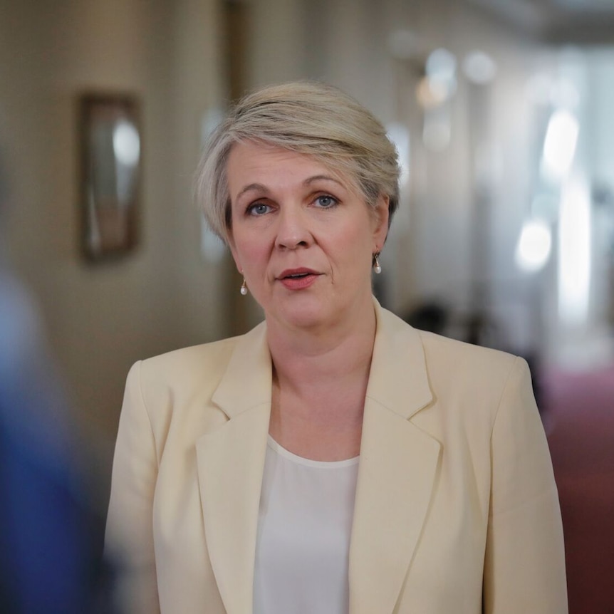 Plibersek looks serious as she speaks to a camera in a corridor of parliament house.