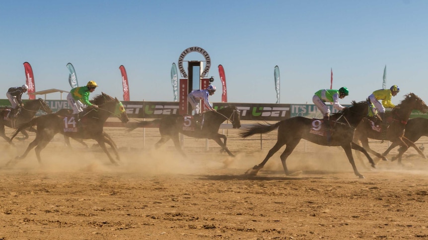 A close up of the horses at he Birdsville races 2018