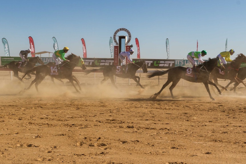A close up of the horses at he Birdsville races 2018