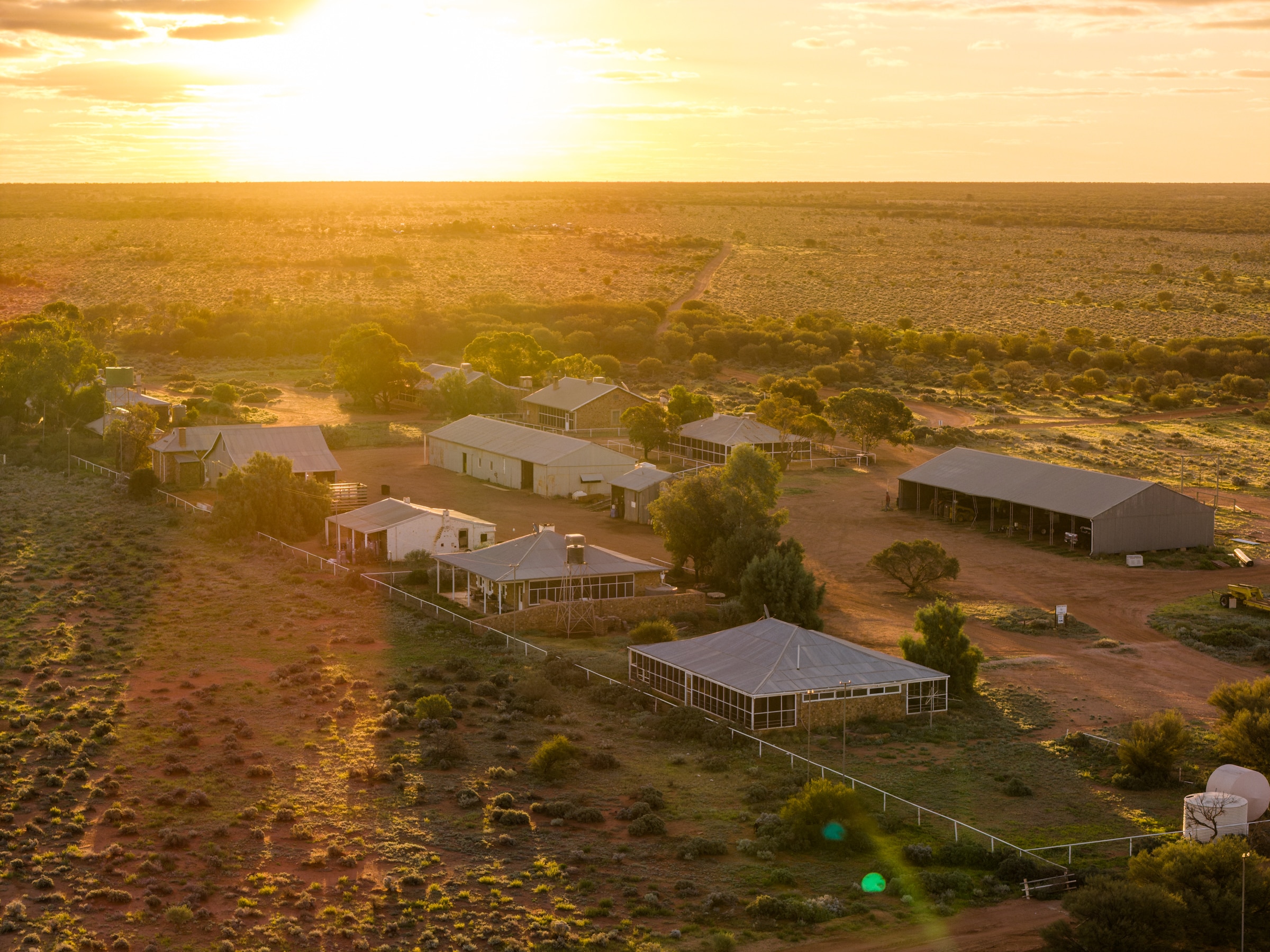 Australia's largest contiguous sheep station sold to Adelaide businessman