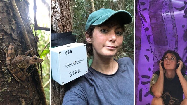 Using sound recordings to monitor and measure animals in natural ...