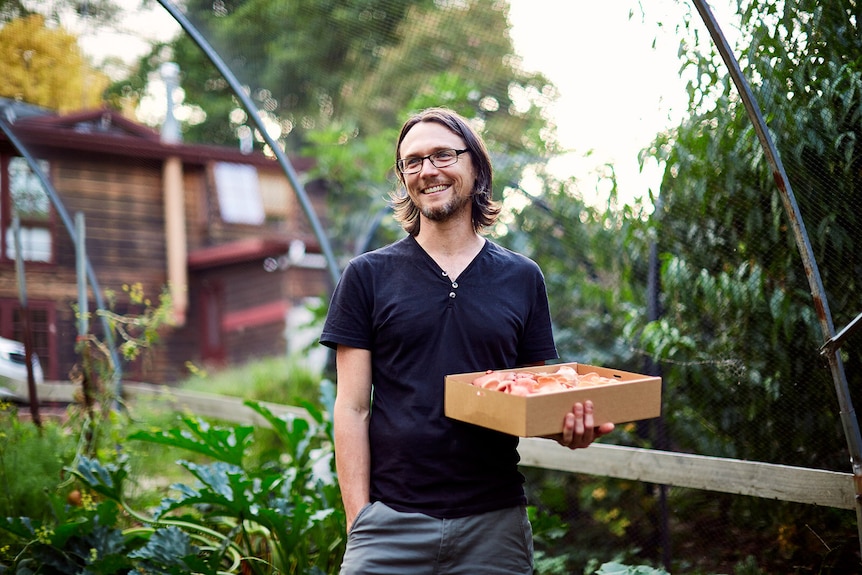 John holding a box full of mushrooms, standing in front of a lush green leafy crop.